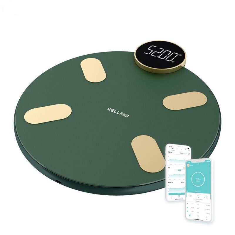 ترازوی هوشمند هایلو