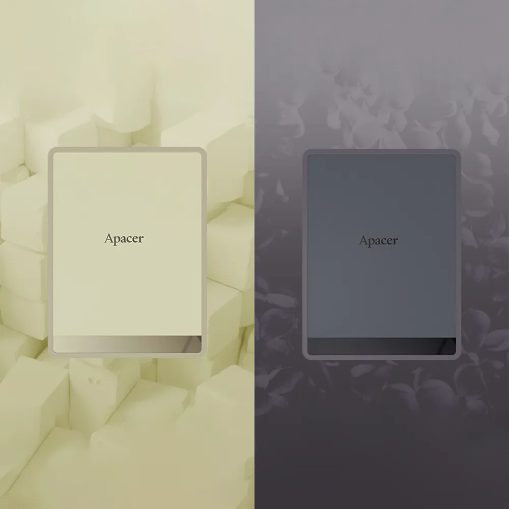 حافظه SSD اکسترنال اپیسر مدل AS724
