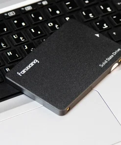 حافظه SSD اینترنال فانشیانگ مدل S101